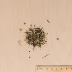 Mélanges de fleurs - Décor Couvrant - 100 m² - Mélange de fleurs - MEDIA_3D